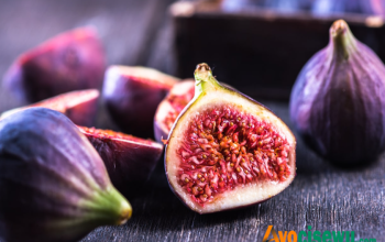 Buah Surga MPLS, Apakah itu? Ini Jawabannya