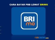 8 Cara Bayar PBB Lewat BRImo Cukup 2 Menit