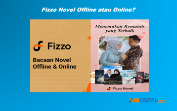 Fizzo Novel Offline atau Online