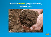 Kotoran Hewan yang Tidak Bau TTS? Jawaban Benar