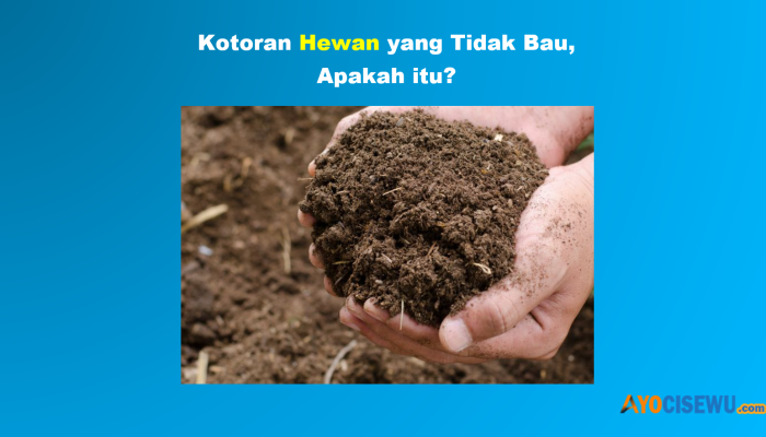 Kotoran Hewan yang Tidak Bau TTS? Jawaban Benar