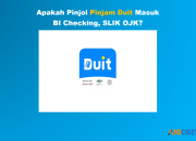 Pinjam Duit Masuk BI Checking, SLIK OJK? Review Jawaban