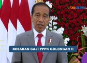 Inilah Besaran Gaji PPPK Golongan II Tahun 2024
