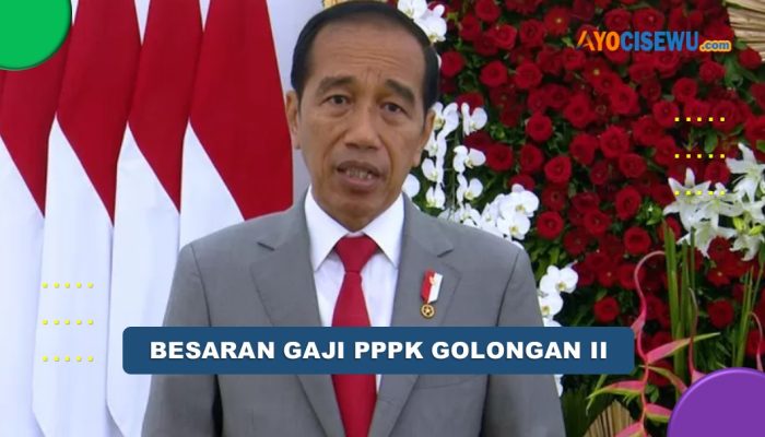 Inilah Besaran Gaji PPPK Golongan II Tahun 2024