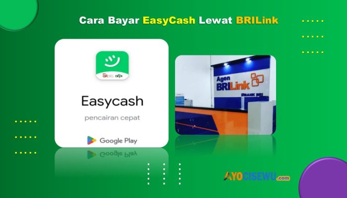 6 Cara Bayar Easycash Lewat BRILink Mudah dan Praktis