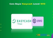 6 Cara Bayar Easycash Lewat OVO Praktis Cukup 1 Menit