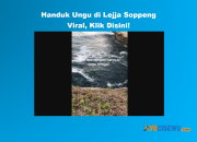 Handuk Ungu di Lejja Soppeng Viral Video, Klik Disini!