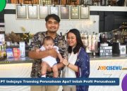 PT Indojaya Translog Perusahaan Apa? Inilah Profil Perusahaan