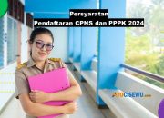 6 Syarat Pendaftaran CPNS & PPPK 2024, Inilah Link Pendaftaran!
