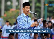 Inilah Besaran Gaji PPPK Golongan I Tahun 2024