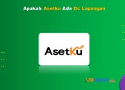 Apakah Asetku Ada DC Lapangan? Pengalaman Galbay Terbaru
