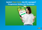 Cairin Ada DC Lapangan? Berikut Pengalaman Gagal Bayar dan Resikonya