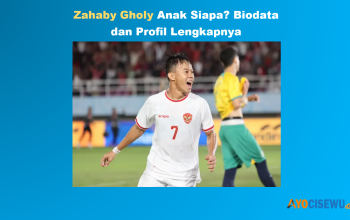 Biodata dan Profil Muhammad Zahaby Gholy