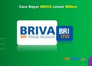 7 Cara Bayar BRIVA Lewat BRImo Mudah Cukup 1 Menit