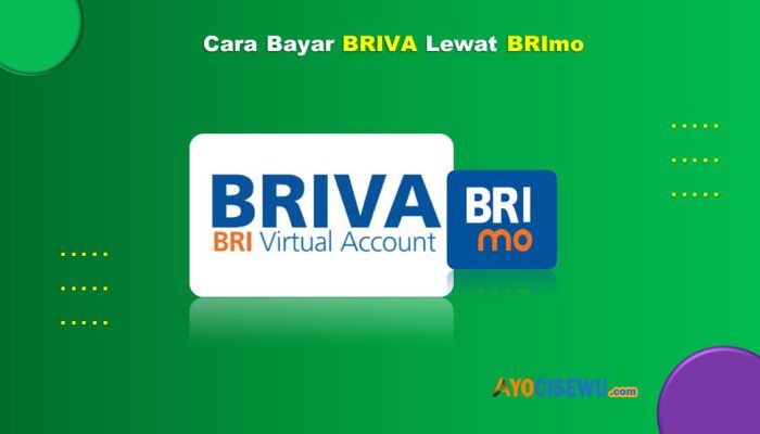 7 Cara Bayar BRIVA Lewat BRImo Mudah Cukup 1 Menit