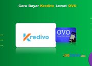10 Cara Bayar Kredivo Lewat OVO Mudah Anti Ribet