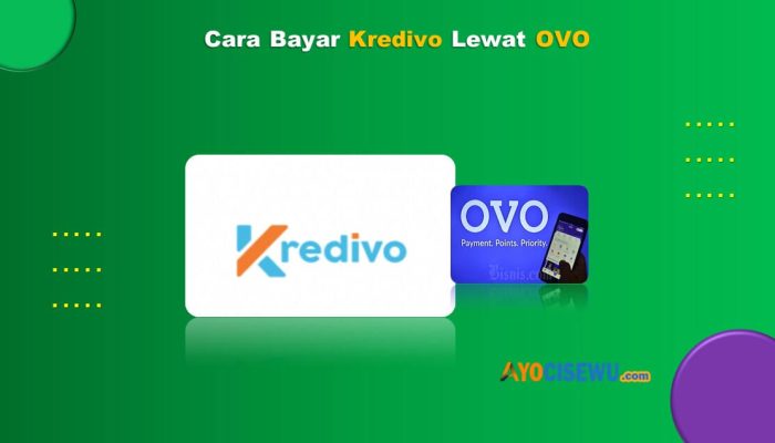10 Cara Bayar Kredivo Lewat OVO Mudah Anti Ribet