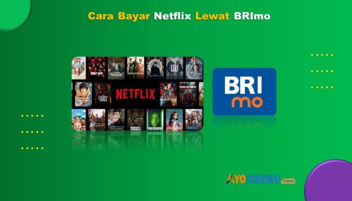 8 Cara Bayar Netflix Lewat BRImo Cukup 2 Menit Beres