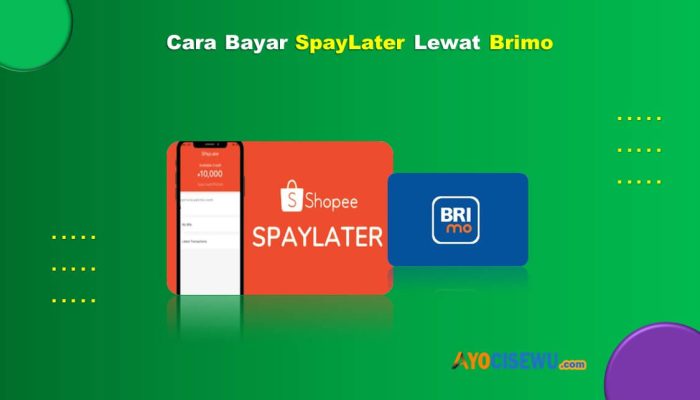 11 Cara Bayar Spaylater Lewat BRImo Mudah & Cepat