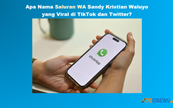 TERJAWAB! Inilah Nama Saluran WA Sandy Clash Of Champions yang Viral di TikTok dan Twitter