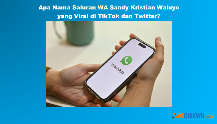 TERJAWAB! Inilah Nama Saluran WA Sandy Clash Of Champions yang Viral di TikTok dan Twitter