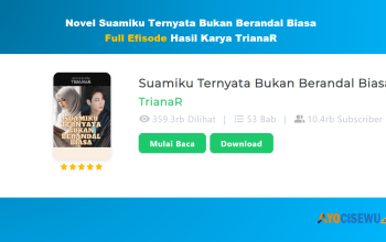 Novel Suamiku Ternyata Bukan Berandal Biasa Full Efisode Hasil Karya TrianaR