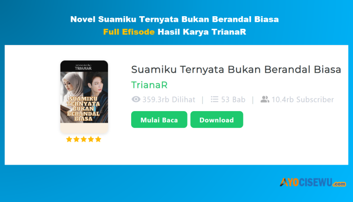 BACA DISINI! Novel Suamiku Ternyata Bukan Berandal Biasa Full Episode Hasil Karya TrianaR