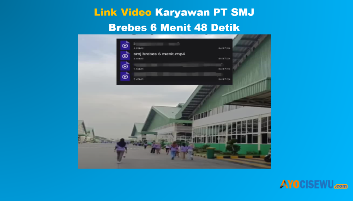 Link Download Video Karyawan PT SMJ Brebes 6 Menit 48 Detik, Viral di Twitter!