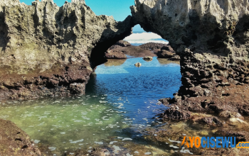 Sejarah Lionel Henry Nasution Hanyut 5 Orang Meninggal di Pantai Ngliyep Tahun 1992