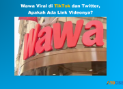 Wawa Viral di TikTok dan Twitter, Adakah Link Video?