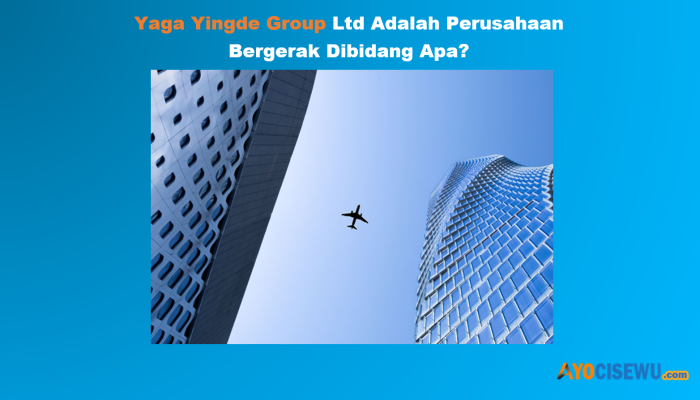Yaga Yingde Group Ltd Perusahaan Bidang Apa, Apakah Penipuan? Berikut Profil dan Logo