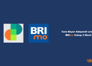 10 Cara Bayar Adapundi Lewat BRImo Cukup 2 Menit