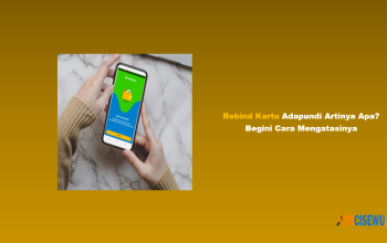 Rebin Kartu di Adapundi Artinya Apa?