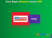 5 Cara Bayar Alfamart Lewat OVO Anti Ribet & Cepat