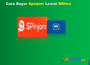 8 Cara Bayar Spinjam Lewat BRImo Mudah Anti Ribet