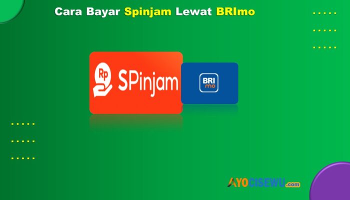 8 Cara Bayar Spinjam Lewat BRImo Mudah Anti Ribet