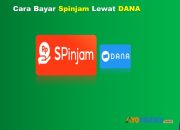 5 Cara Bayar Spinjam Lewat DANA Anti Ribet & Praktis