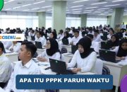 Apa Itu PPPK Paruh Waktu! Inilah Penjelasan Lengkapnya