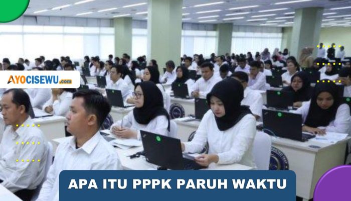 Apa Itu PPPK Paruh Waktu! Inilah Penjelasan Lengkapnya