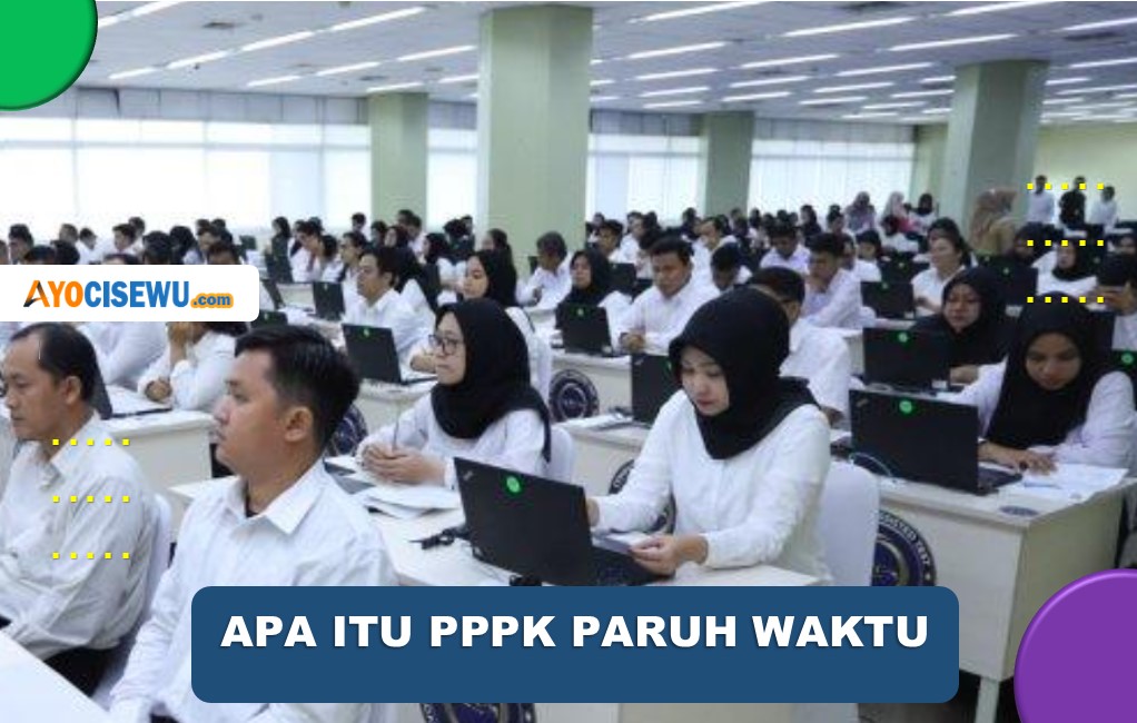 Apa Itu PPPK Paruh Waktu