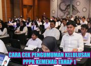 Cara Cek Pengumuman Kelulusan PPPK Kemenag 2024 Tahap 1