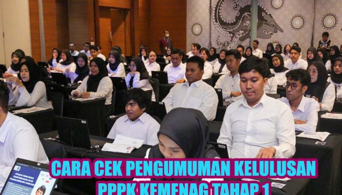 Cara Cek Pengumuman Kelulusan PPPK Kemenag 2024 Tahap 1