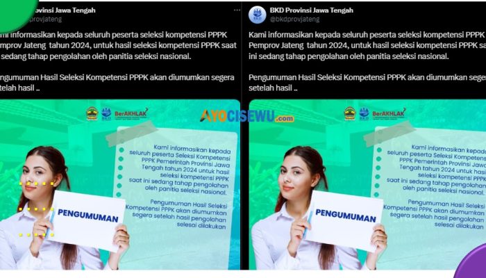Pengumuman Kelulusan PPPK BKD Provinsi Jawa Tengah, Masih Tahap Proses Pengolahan!