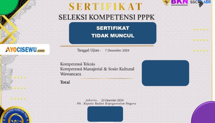 Kenapa Sertifikat PPPK Tidak Ditemukan di Situs https://sertificat.bkn.go.id/?