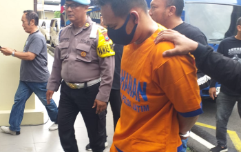 Psikopat Narsistik itu Artinya Adalah Apa?