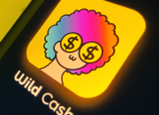Apakah Wild Cash Aman dan Terdaftar di OJK? Cek INFO