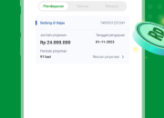 Apakah Lumbung Dana Bisa Restrukturisasi?