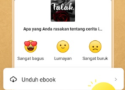Apakah Fizzo Novel Bisa 2 Akun?