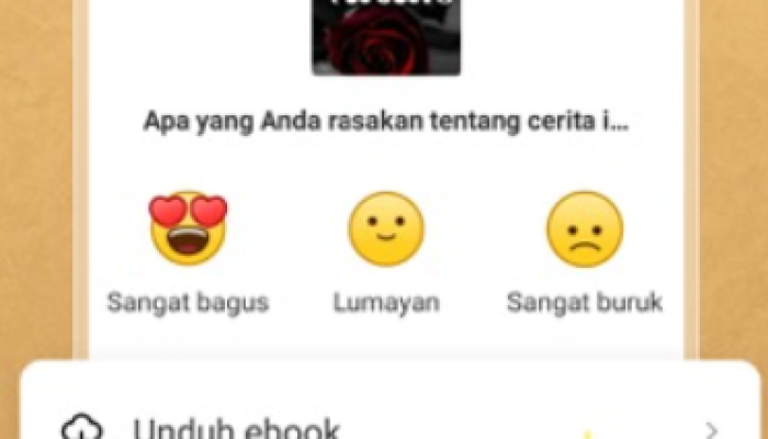Apakah Fizzo Novel Bisa 2 Akun dalam 1 HP? Cek INFO