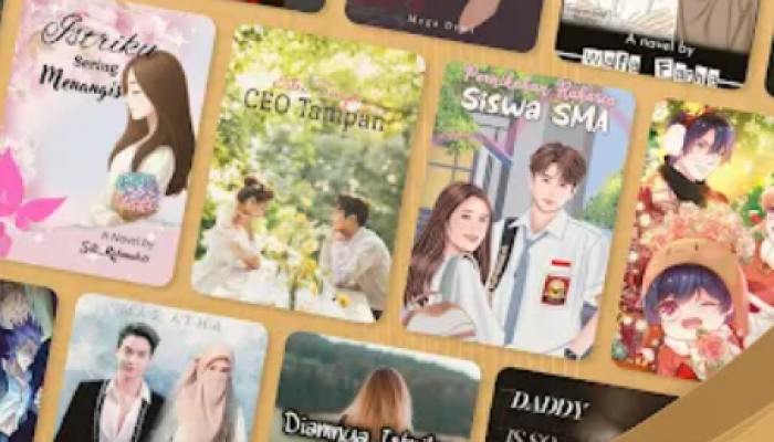 6 Cara Mendownload Video Drama di Fizzo Novel